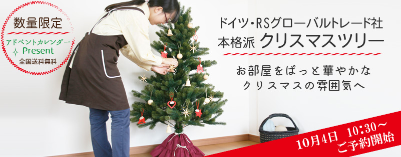 木のおもちゃ カルテット / クリスマスツリー(シュヴァルツヴァルトツリー) 150cm【アドベントカレンダー付!】|RSグローバルトレード社(ドイツ)