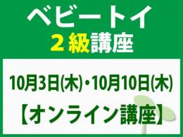 【オンラインライブ講座】10月3日(木)・10月10日(木)「魔の2歳」に育てない木のおもちゃと絵本の与え方_ベビートイ2級講座