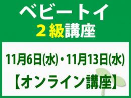 【オンラインライブ講座】11月6日(水)・11月13日(水)「魔の2歳」に育てない木のおもちゃと絵本の与え方_ベビートイ2級講座