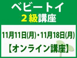 【オンラインライブ講座】11月11日(月)・11月18日(月)「魔の2歳」に育てない木のおもちゃと絵本の与え方_ベビートイ2級講座