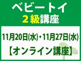 【オンラインライブ講座】11月20日(水)・11月27日(水)「魔の2歳」に育てない木のおもちゃと絵本の与え方_ベビートイ2級講座