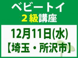 【埼玉・所沢市】12月11日(水)「魔の2歳」に育てない木のおもちゃと絵本の与え方_ベビートイ2級講座