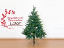 クリスマスツリー(シュヴァルツヴァルトツリー) 120cm【アドベントカレンダー付!】|RSグローバルトレード社(ドイツ)
