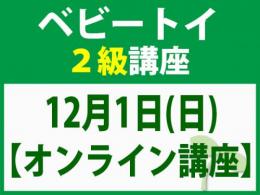 【オンラインライブ講座】12月1日(日)「魔の2歳」に育てない木のおもちゃと絵本の与え方_ベビートイ2級講座