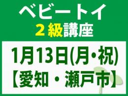 【愛知・瀬戸市】1月13日(月・祝)「魔の2歳」に育てない木のおもちゃと絵本の与え方_ベビートイ2級講座